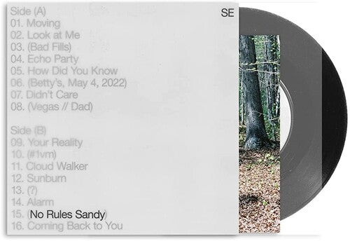 No Rules Sandy { vinyl }