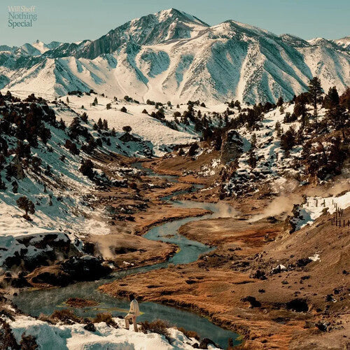 Will Sheff - Nothing Special { vinyl }