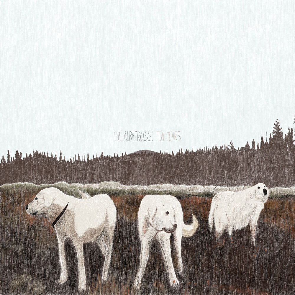 Foxing - Albatross: Ten Years (Brwn) (Colored Vinyl) { vinyl }