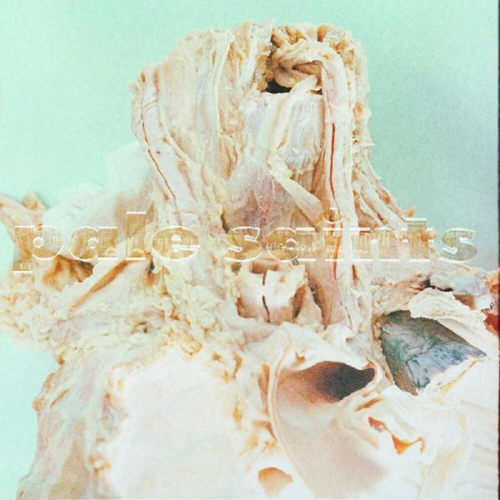 Pale Saints - In Ribbons (LP) { vinyl }