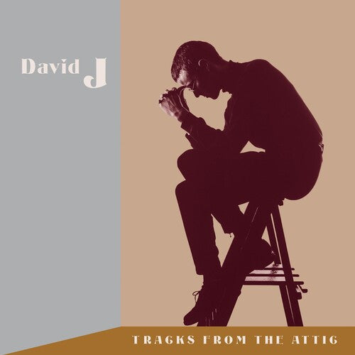 David J - Tracks From The Attic (RSDBF) (Vinyl) { vinyl }