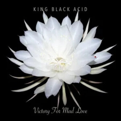 King Black Acid - Victory For Mad Love (Vinyl) { vinyl }