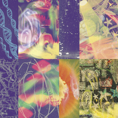 Nap Eyes - The Neon Gate (Vinyl) { vinyl }