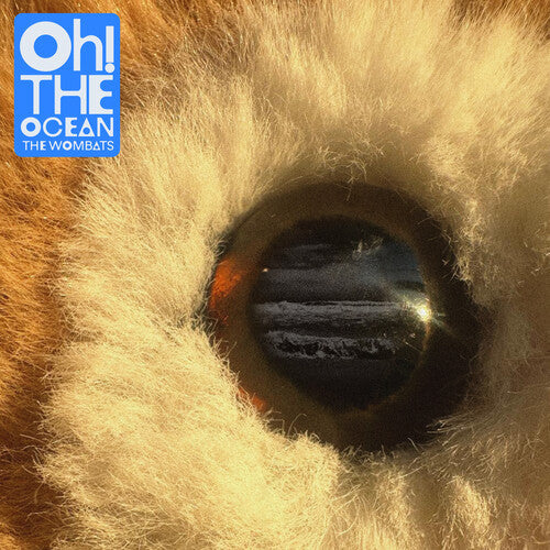 The Wombats - Oh! The Ocean (Indie Cloudy Clear Vinyl) (Vinyl) { vinyl }