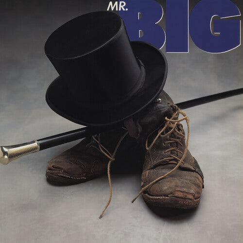 Mr Big - Mr Big (Vinyl) { vinyl }