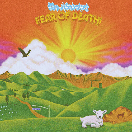 Tim Heidecker - Fear Of Death (Vinyl) { vinyl }