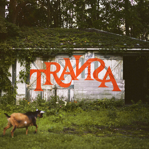 Various Artists - Transa (Various Artists) (Vinyl) { vinyl }