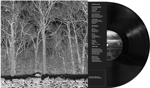 Pile - Sunshine and Balance Beams (Vinyl) { vinyl }