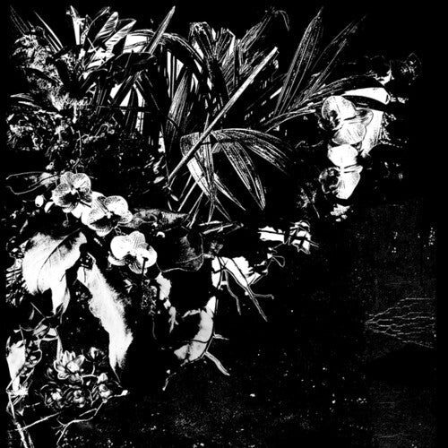 Jef Mertens - Orchid Alto (Vinyl) { vinyl }