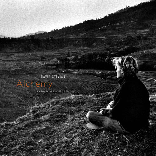 David Sylvian - Alchemy: An Index Of Possibilities - Gold Opaque Red (Vinyl) { vinyl }