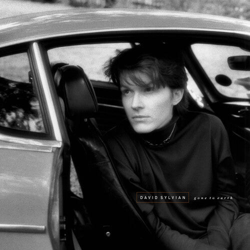 David Sylvian - Gone To Earth - White Brown Opaue Black (Vinyl) { vinyl }