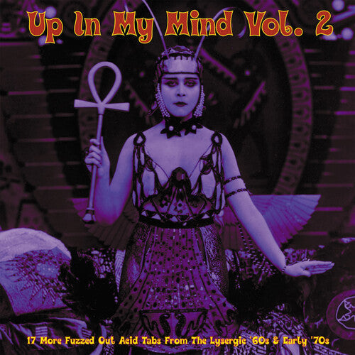 Various Artists - Up In My Mind Vol. 2: 17 More Fuzzed Out Acid Tabs From The Lysergic '60s & Early '70s (Various Artists) (Vinyl) { vinyl }