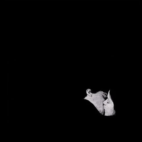 Bob Moses - Days Gone By { vinyl }