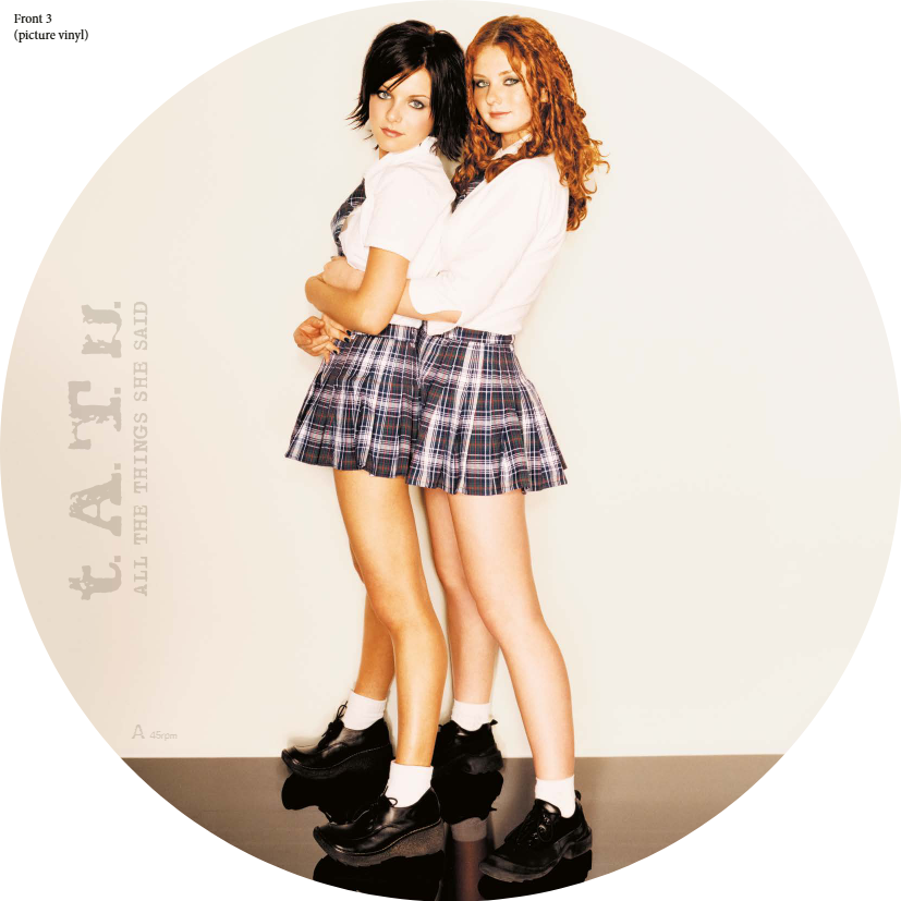 All The Things She Said 12inch Picture Vinyl 45rpm { vinyl }