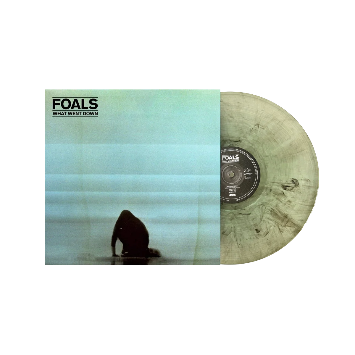 What Went Down { vinyl }