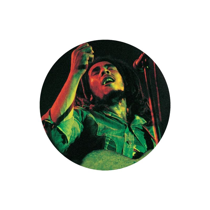 Soul of a Rebel { vinyl }