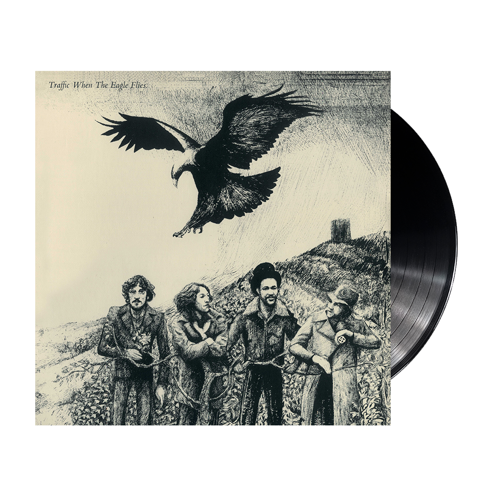 When the Eagle Flies { vinyl }