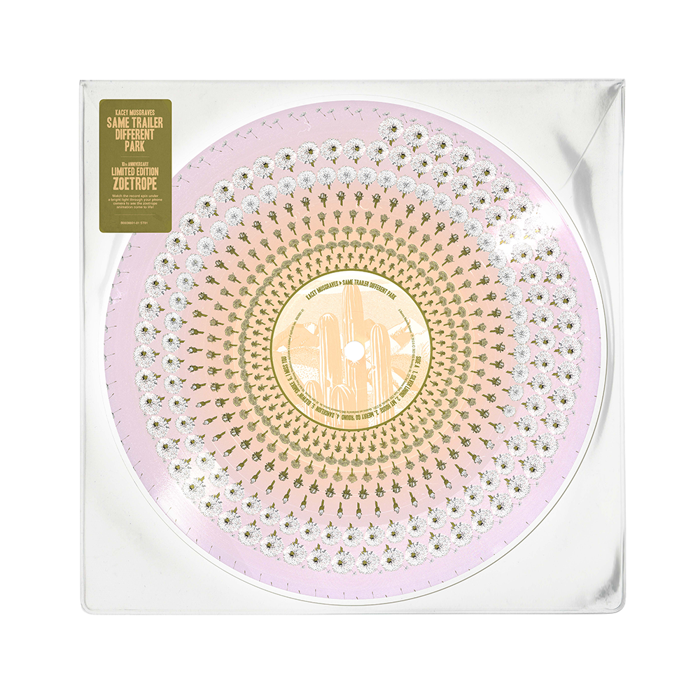 Same Trailer Different Park (10th Anniversary - Zoetrope Limited Edition) { vinyl }