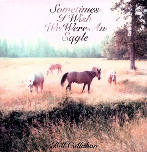 Bill Callahan - Sometimes I Wish We Were An Eagle { vinyl }