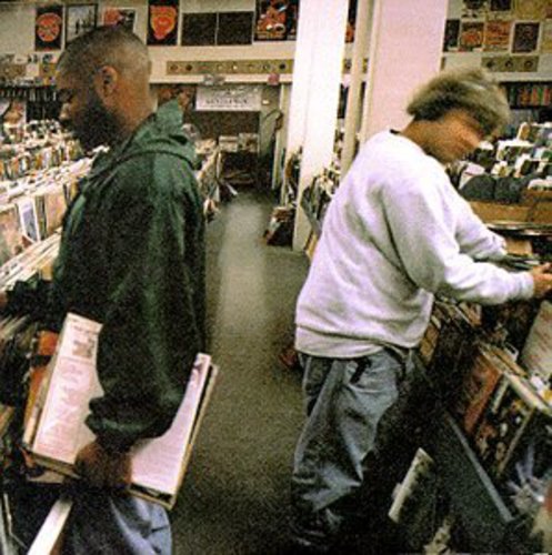 Endtroducing { vinyl }