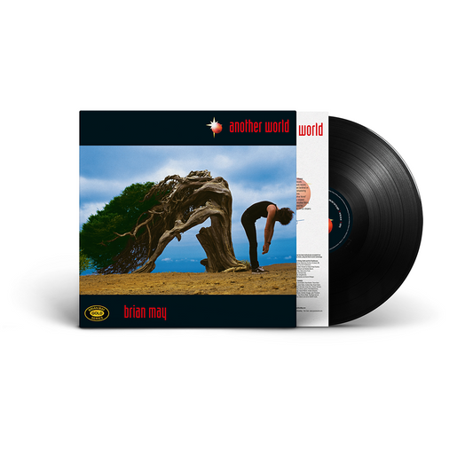 Another World { vinyl }