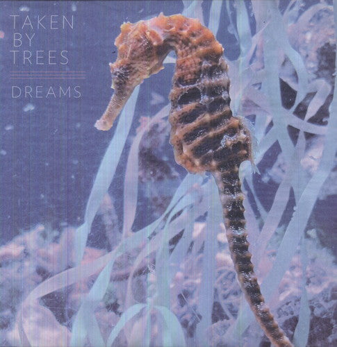 Dreams { vinyl }