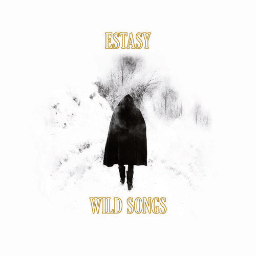 Wild Songs { vinyl }