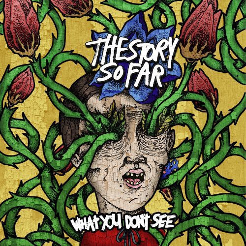 What You Don't See { vinyl }