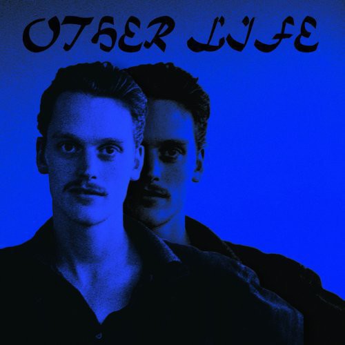 Other Life { vinyl }