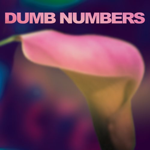 Dumb Numbers { vinyl }