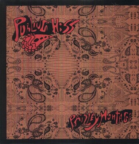 Purling Hiss - Paisley Montage { vinyl }