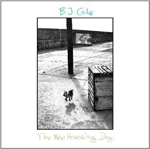 New Hovering Dog { vinyl }
