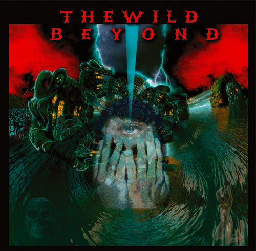 Wild Beyond { vinyl }