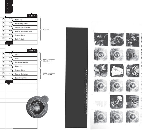 Pixies - Doolittle 25: B-Sides, Peel Sessions & Demos (Limited Edition Vinyl) { vinyl }