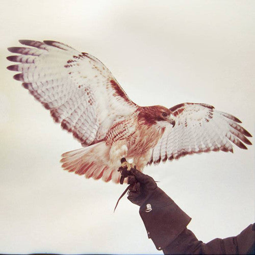 Wild Birds { vinyl }