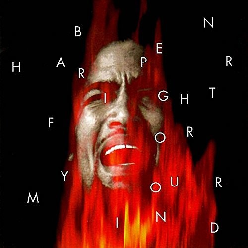 Ben Harper - Fight For Your Mind (LP) { vinyl }