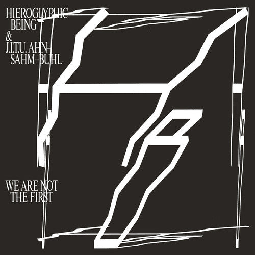 We Are Not the First { vinyl }