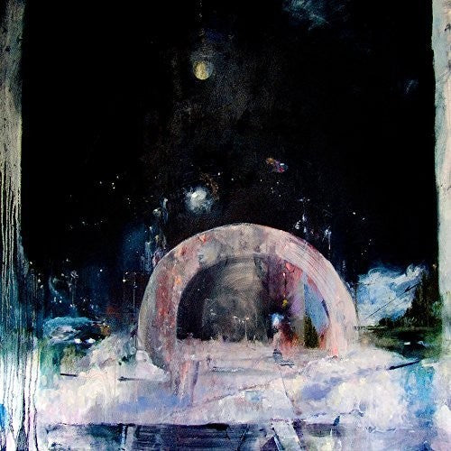 Not to Disappear { vinyl }