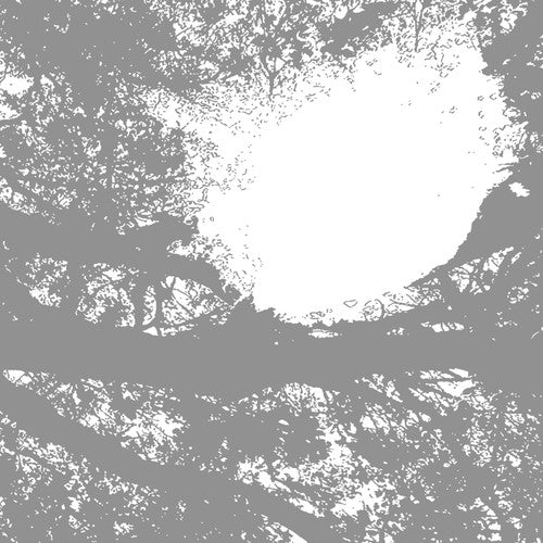 Comets on Fire - Field Recordings from the Sun (Vinyl) { vinyl }