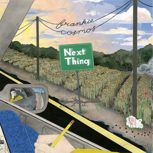 Frankie Cosmos - Next Thing (Vinyl) { vinyl }
