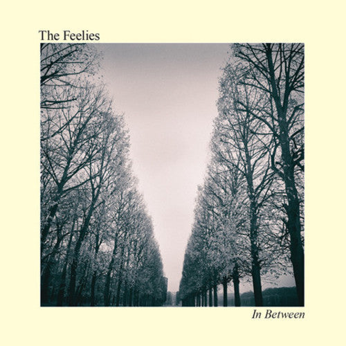 The Feelies - In Between { vinyl }