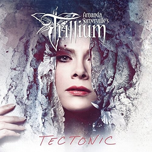 Tectonic { vinyl }
