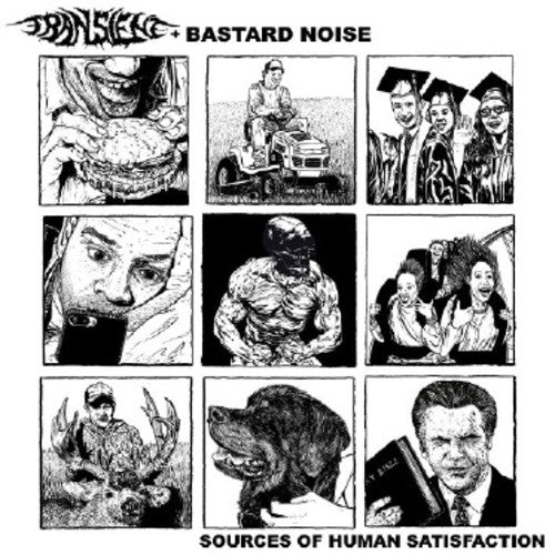 Sources of Human Satisfaction { vinyl }