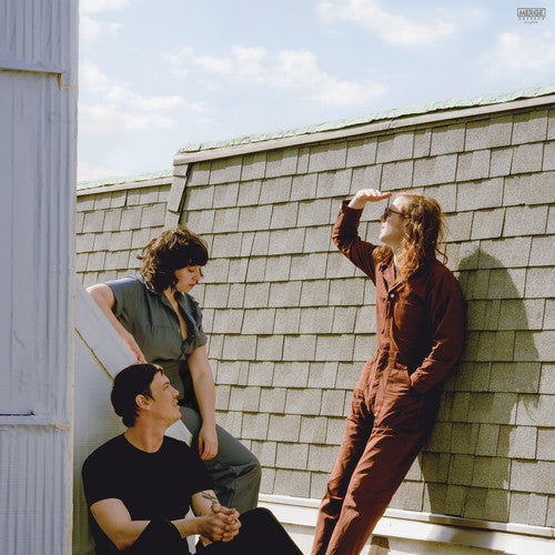 Fall Into the Sun { vinyl }