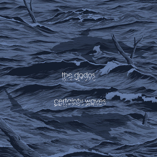 Certainty Waves { vinyl }