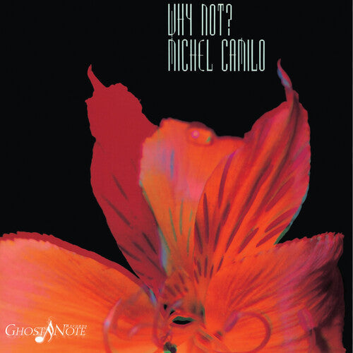 Why Not { vinyl }