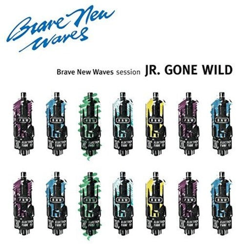 Brave New Waves Session { vinyl }