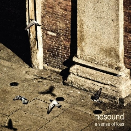 Sense of Loss { vinyl }