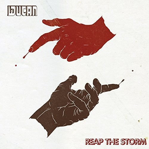 Reap the Storm { vinyl }