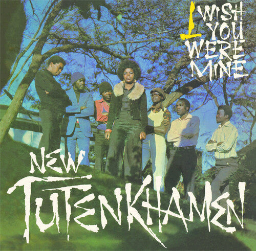I Wish You Were Mine { vinyl }